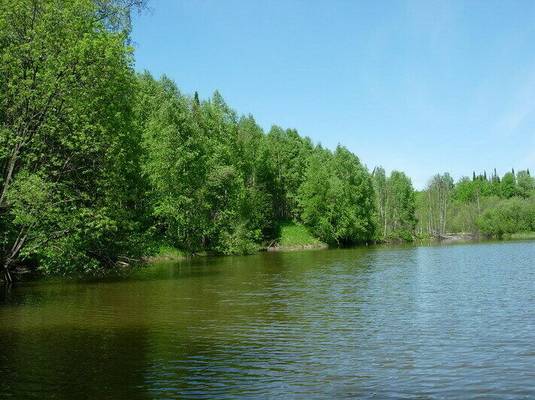 Загородный клуб Зеленый дом